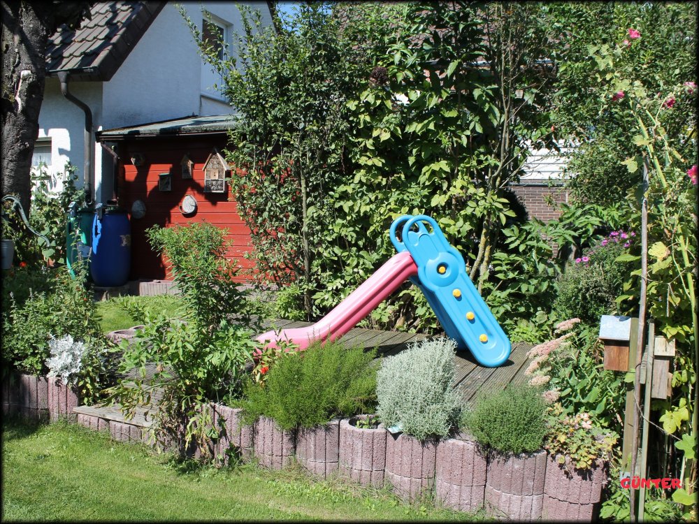 Garten_11.JPG