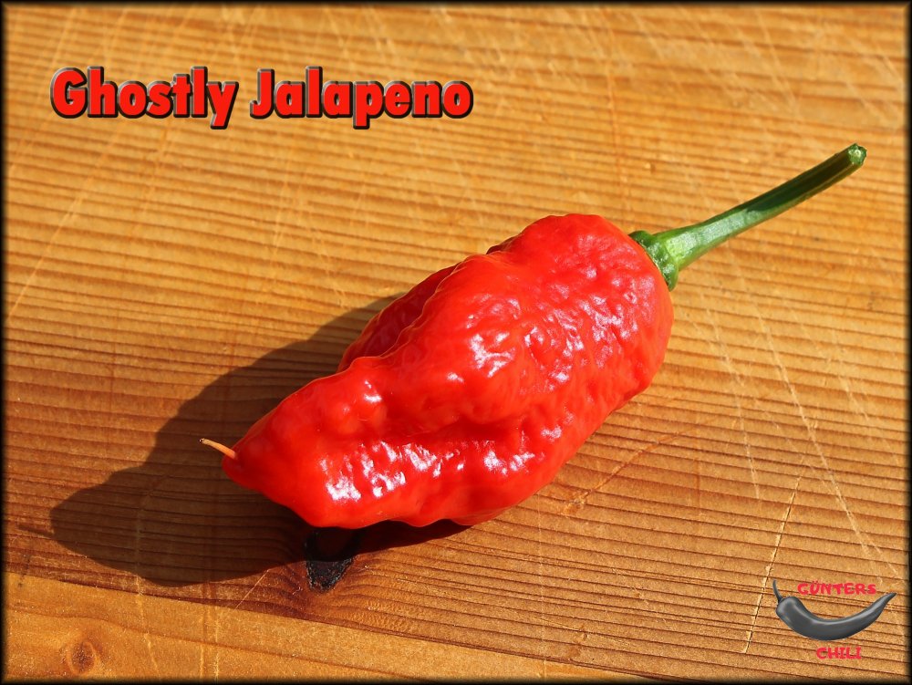 Ghostly Jalapeno 15092024_.jpg