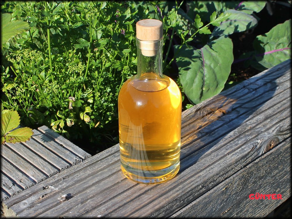 Gin 02072022_.jpg