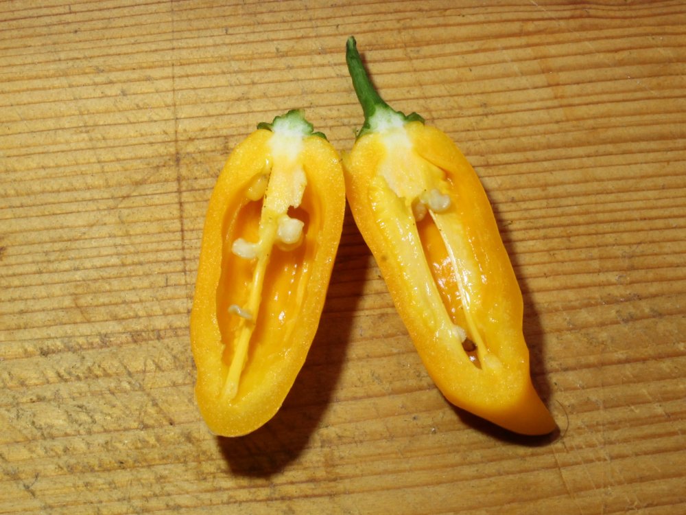 halbierte Frucht.JPG