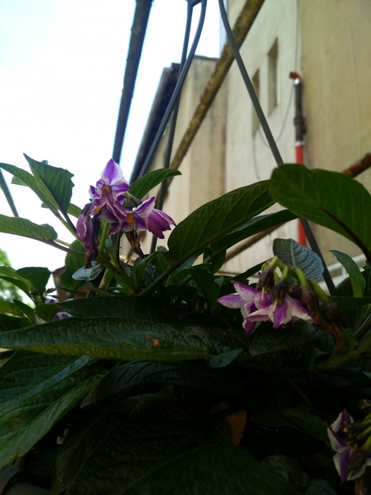 IMG_20240615_143624_HDR.jpg