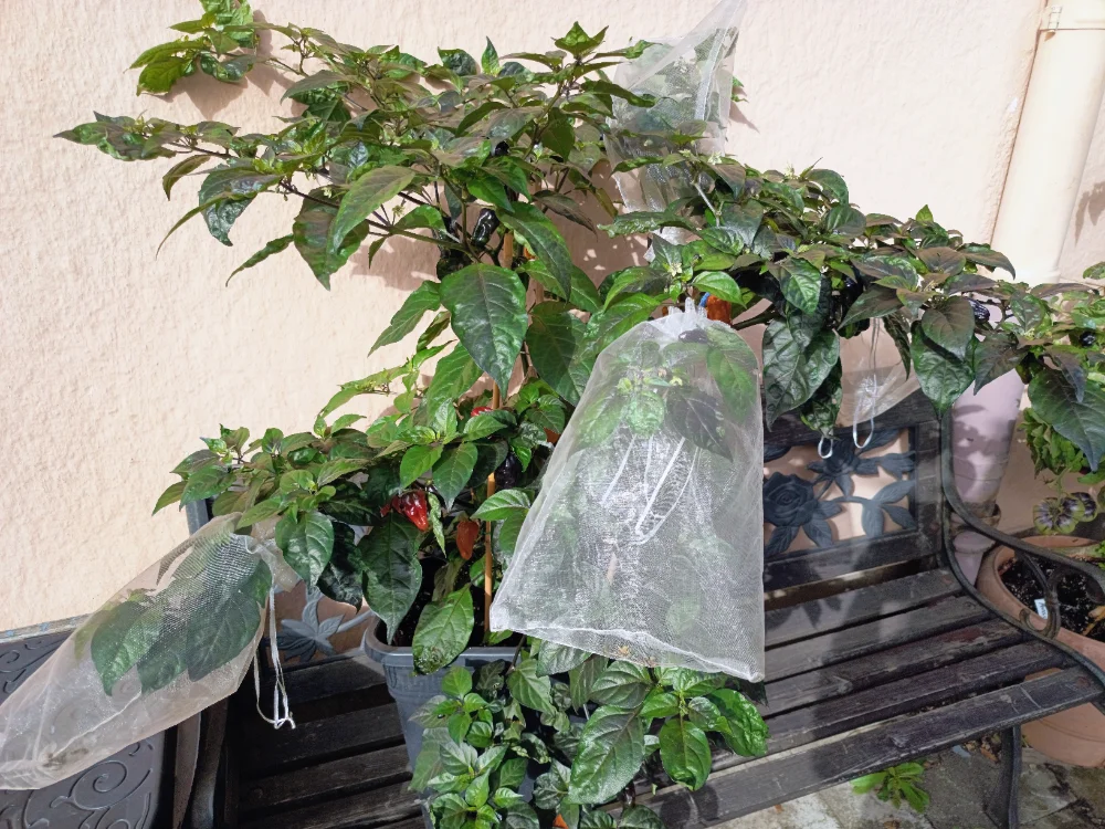 IMG_20260918_104103~2.webp