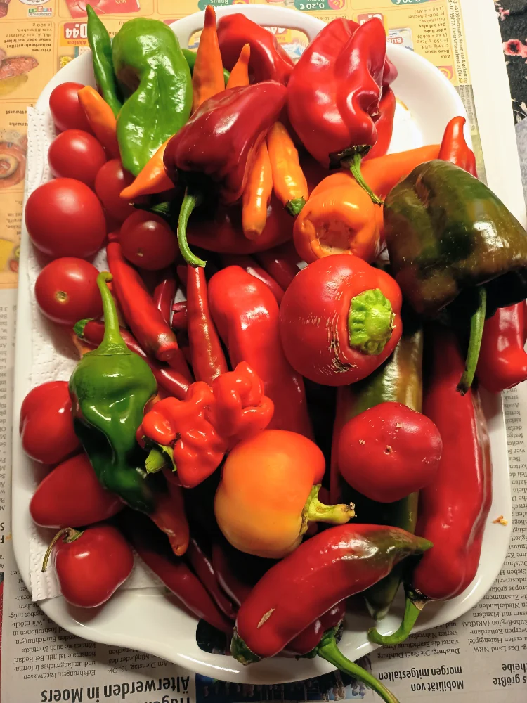 IMG_20261026_193917~2.webp