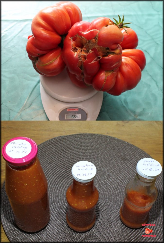 Ketchup Prokuktion.jpg
