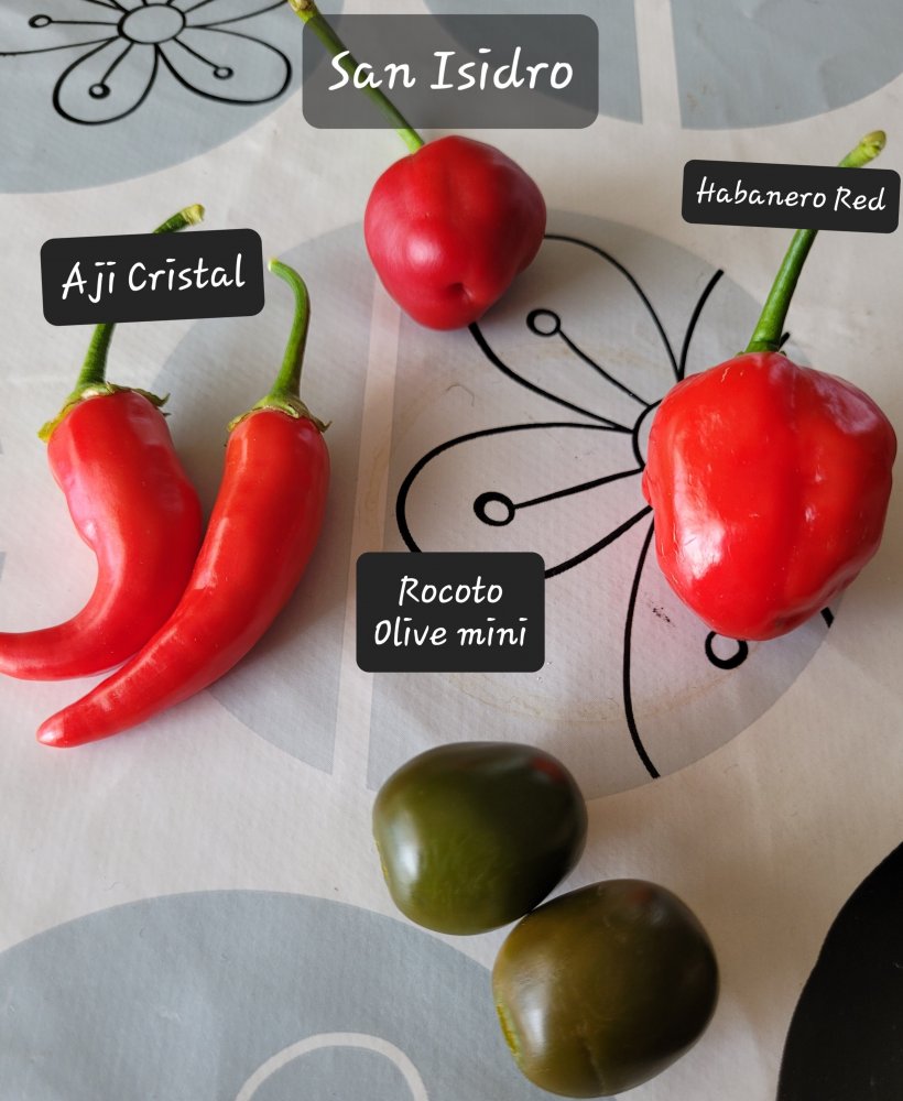 Kleine Ernte.jpg