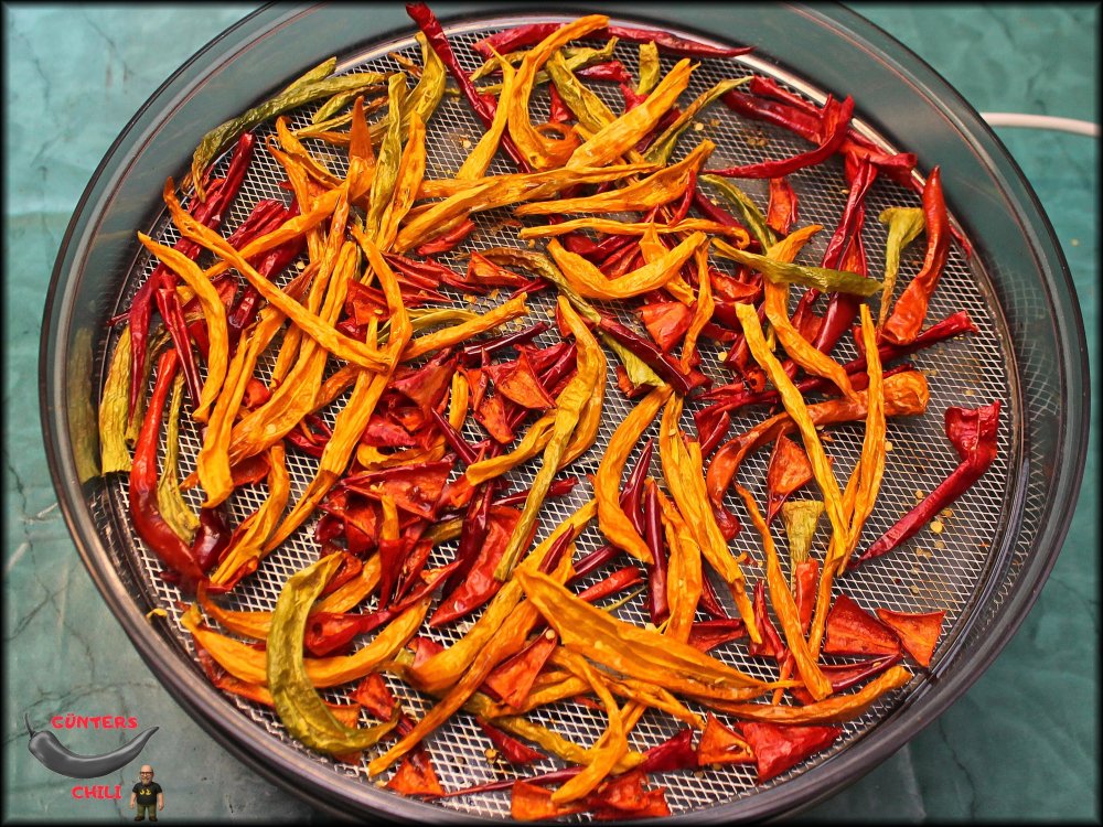 Okt_Getr_Chilis_23102025_.jpg
