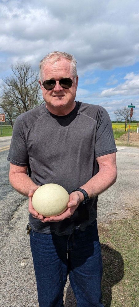 ostrich egg.jpg