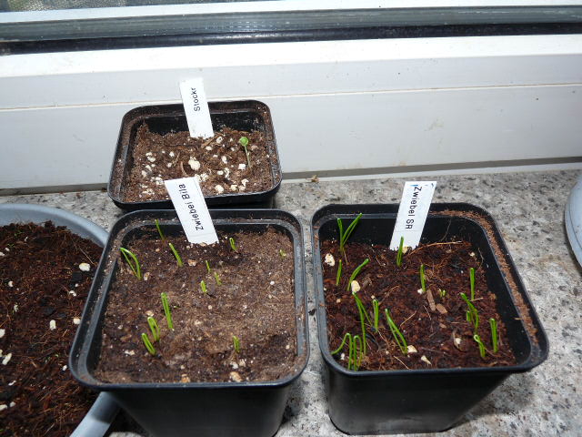 P1120103.JPG