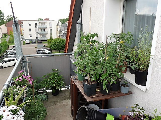 P1120106.JPG