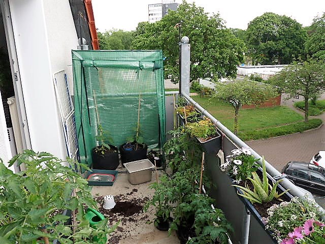 P1120107.JPG