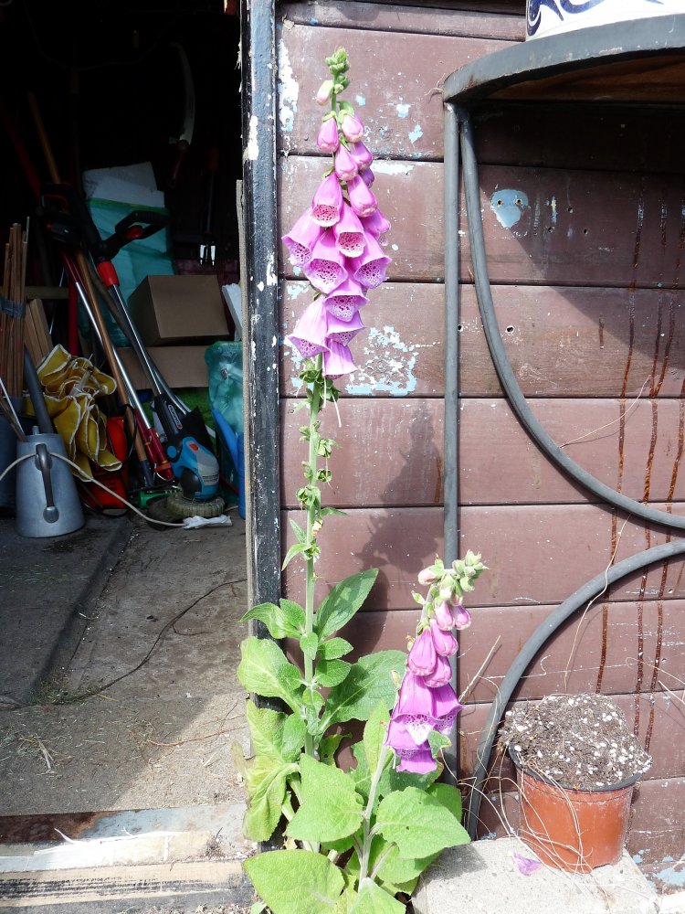 P1120120.JPG