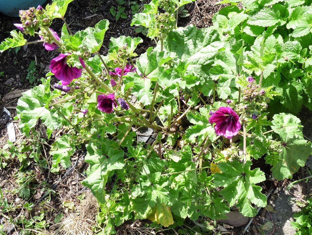 P1120121.JPG