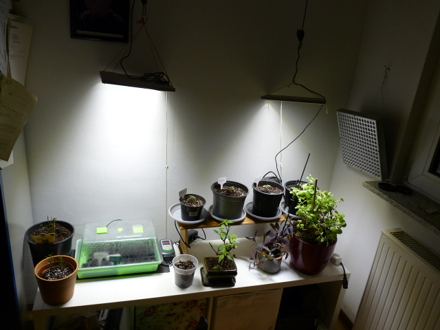 P1130365.JPG