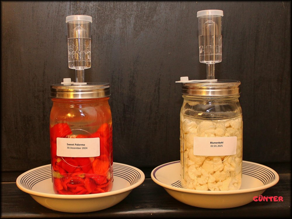 Paprika + Blumenkohl_.jpg