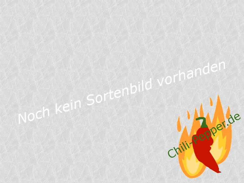 platzhalterbild.webp