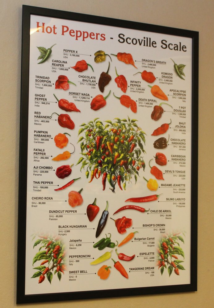 Poster 18102024.JPG