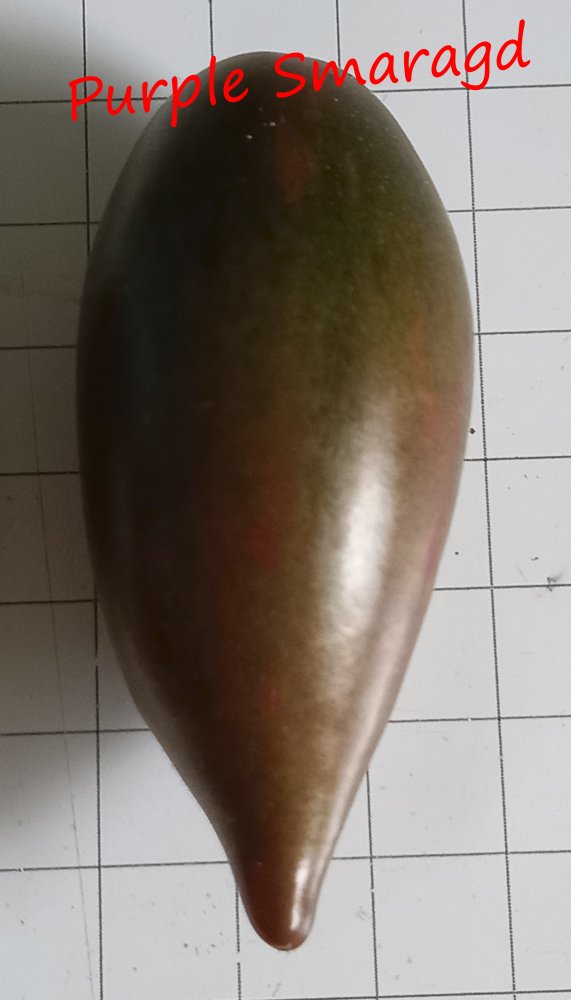 Purprl smaragd.jpg