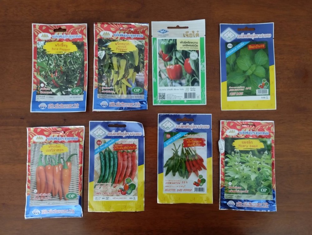 Thai chili seeds.jpg