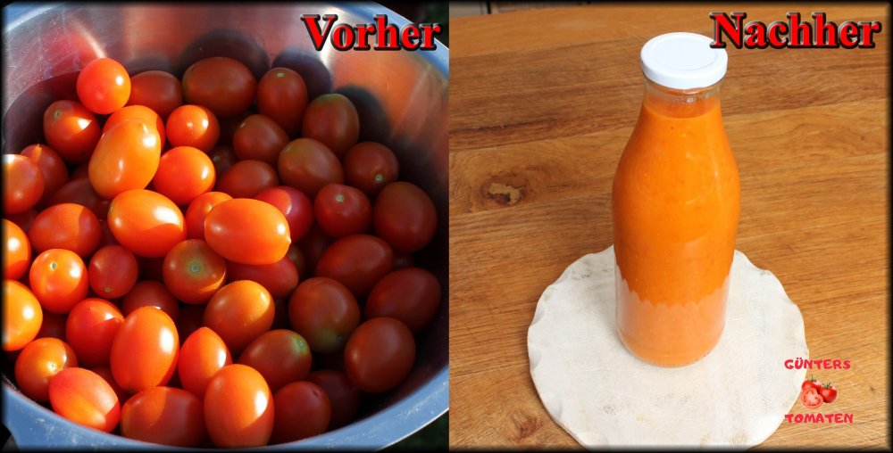 Tomaten Mitte September.jpg