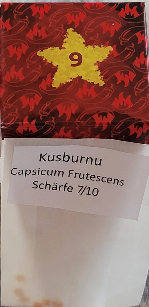 Türchen9.jpg