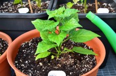 DSC_0615.JPG DSC_0615.JPG