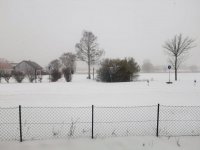 IMG-20210207-WA0008.jpg