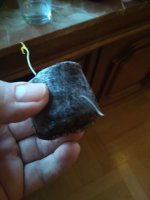 IMG_20220309_071023.jpg