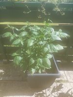 20220703_163533.jpg 20220703_163533.jpg