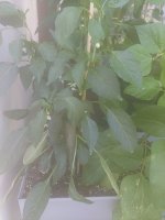 20220703_164459.jpg 20220703_164459.jpg