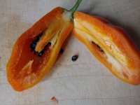 IMG_20220907_135129-min.jpg IMG_20220907_135129-min.jpg