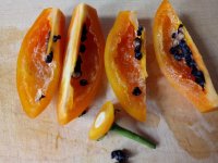 IMG_20220907_135854-min.jpg IMG_20220907_135854-min.jpg