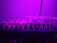 20230114_photo1673724960.jpeg 20230114_photo1673724960.jpeg