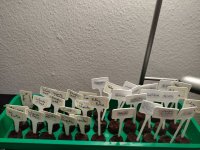 20230114_photo1673724980.jpeg 20230114_photo1673724980.jpeg