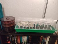 20230114_photo1673725028.jpeg 20230114_photo1673725028.jpeg