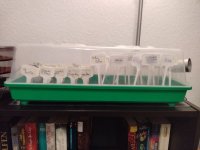 20230114_photo1673725086.jpeg 20230114_photo1673725086.jpeg