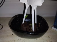 photo_2023-02-05_23-15-54 (2).jpg photo_2023-02-05_23-15-54 (2).jpg