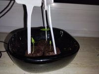 photo_2023-02-05_23-15-54.jpg photo_2023-02-05_23-15-54.jpg