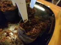 photo_2023-02-27_18-57-17.jpg photo_2023-02-27_18-57-17.jpg