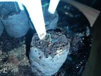 photo_2023-02-27_18-57-29.jpg photo_2023-02-27_18-57-29.jpg