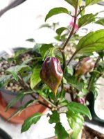 IMG_20230823_092203.jpg
