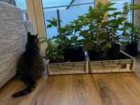 IMG_6806.JPEG