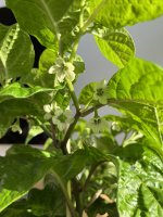 IMG_6830.JPEG