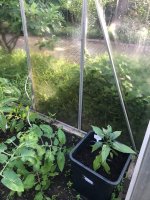 IMG_3063.jpeg