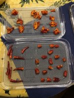 IMG_2376.jpg