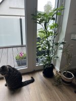 IMG_7566.jpeg