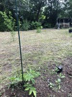 IMG_3215.jpeg