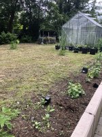 IMG_3216.jpeg