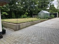 IMG_3217.jpeg