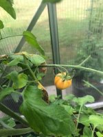 20240616 (3).jpg 20240616 (3).jpg