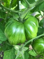 20240616 (4).jpg 20240616 (4).jpg